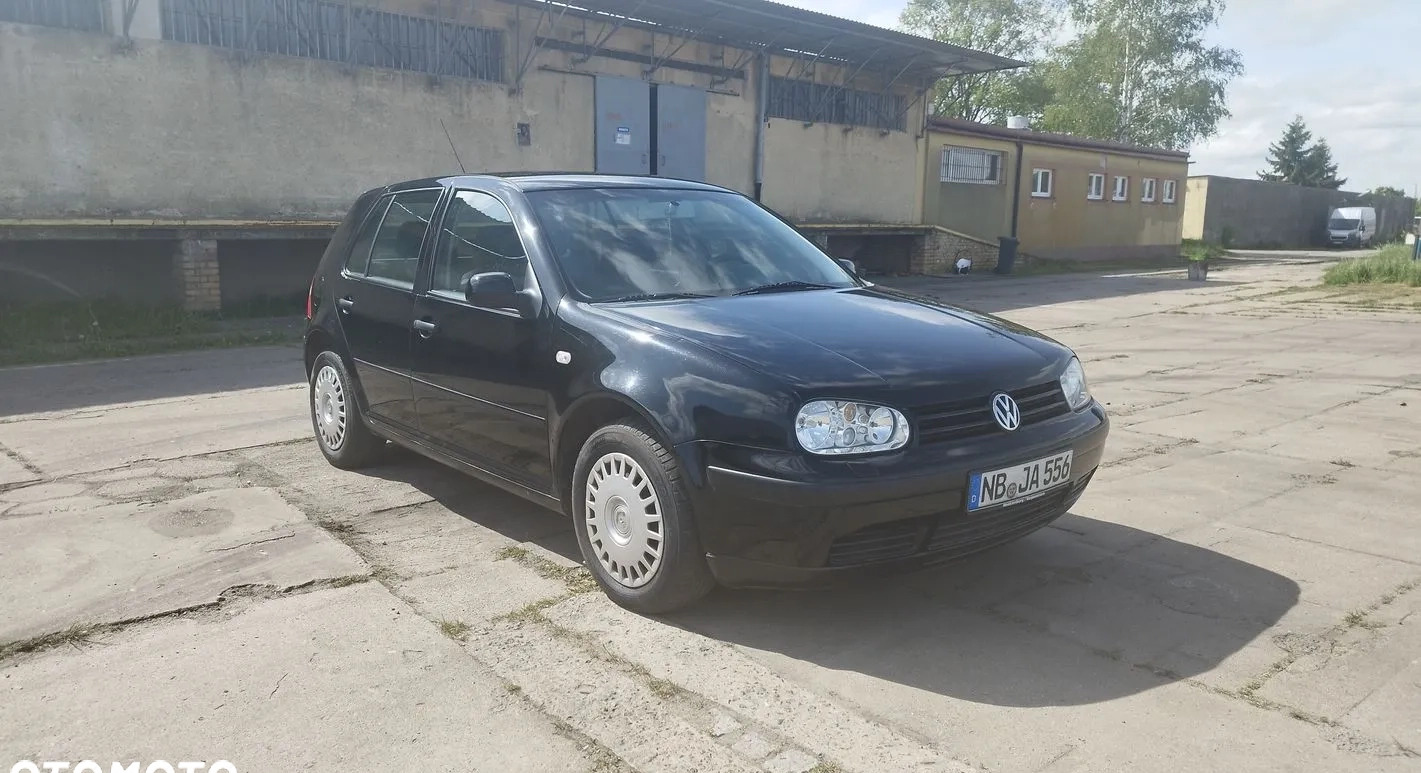 Volkswagen Golf cena 7900 przebieg: 159646, rok produkcji 2002 z Piwniczna-Zdrój małe 529